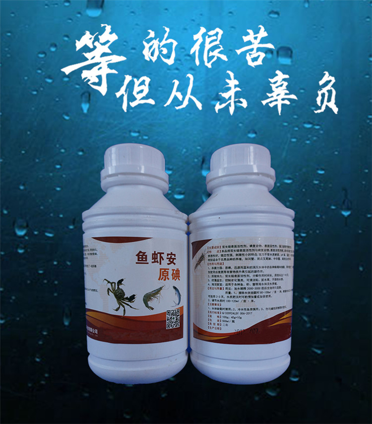 魚蝦安內圖.jpg